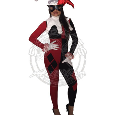 Disfraz Harley-Quinn
