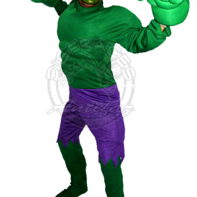 Hulk Disfraz