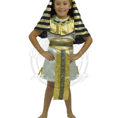 Disfraz de Egipcio Niño